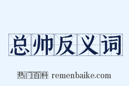 总帅反义词是什么意思的图片